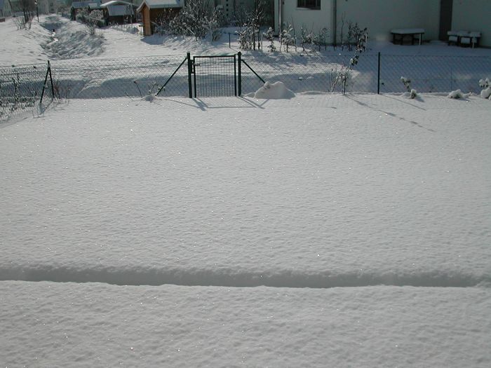 Winter 2007