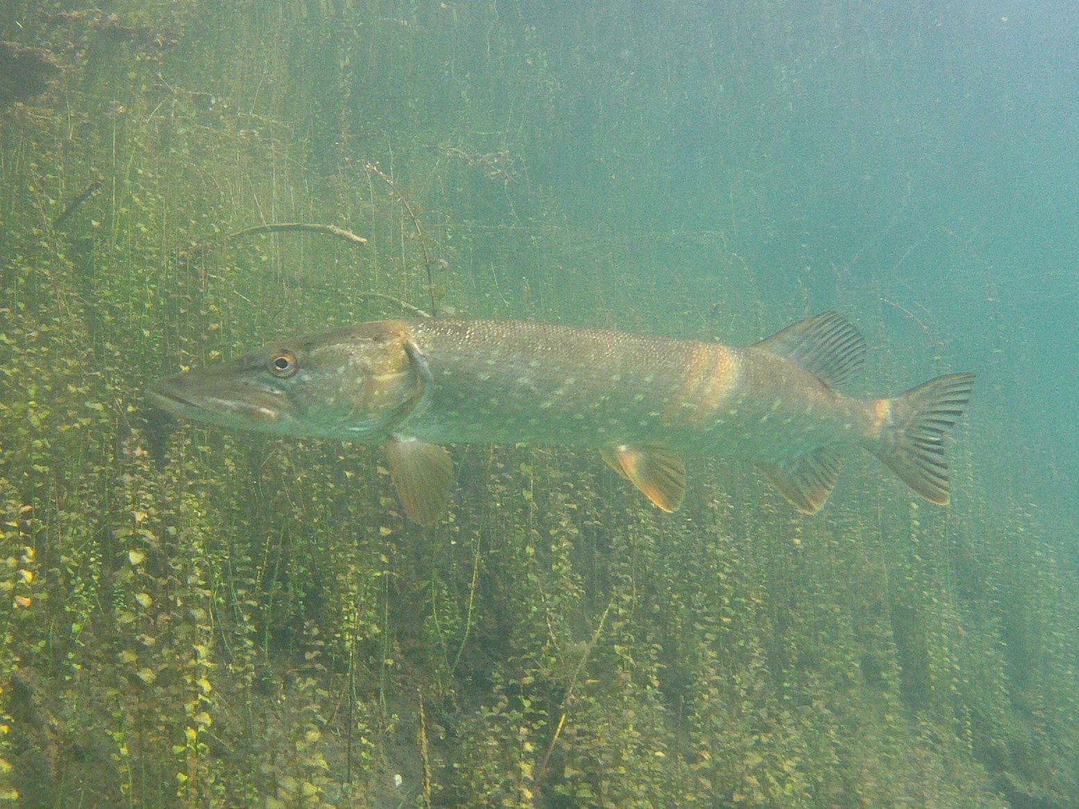 Sonnenbeschienener See